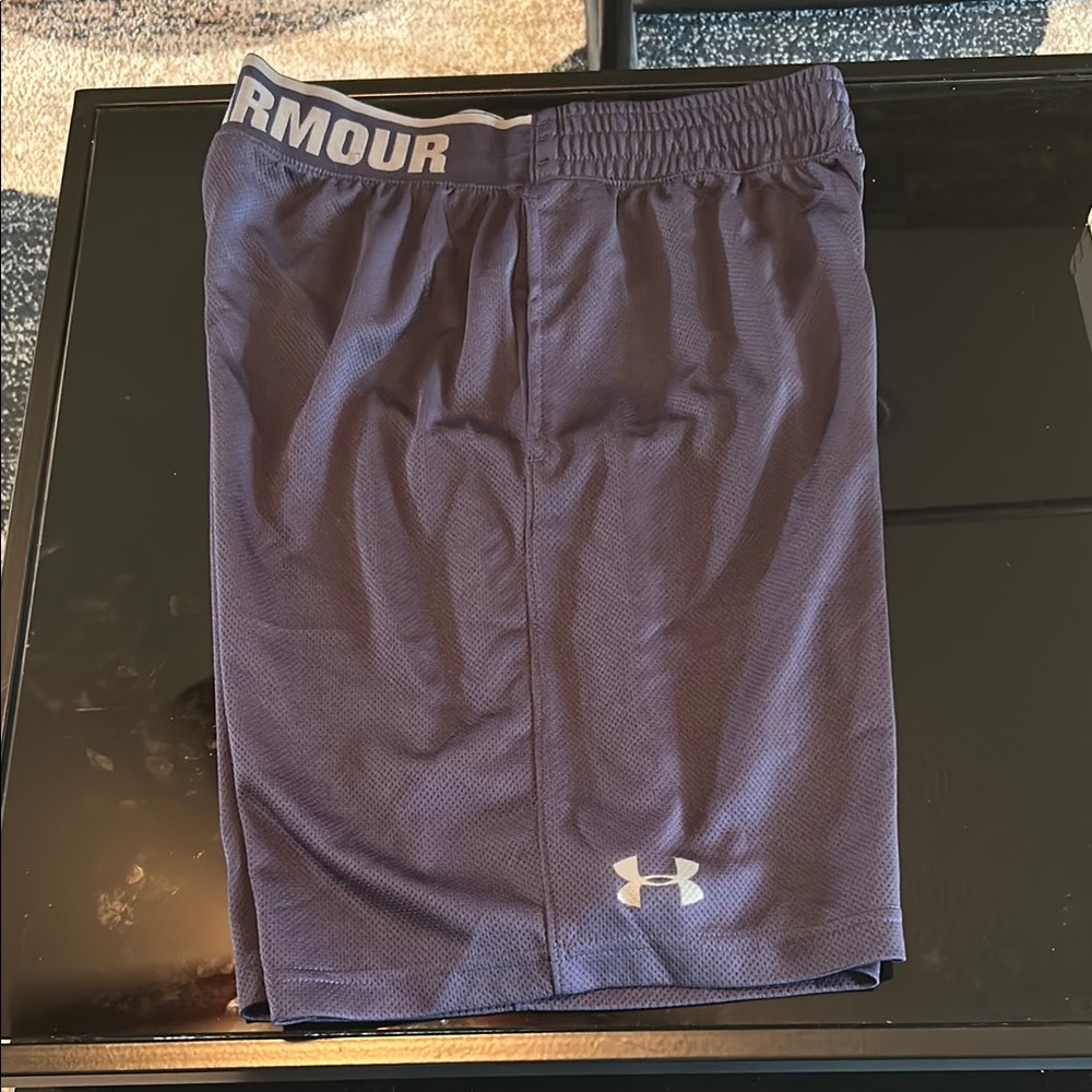 Under Armour Men's Dark Blue Athletic Shorts